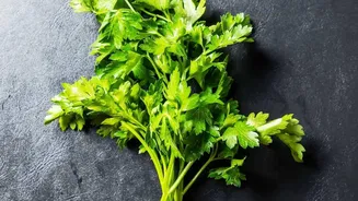 Parsley Recipe Ideas In Context: Adding The Herb To Vegetable Dishes