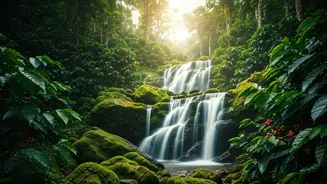 Catch The Raw Beauty Of Coorg Coffee Plantation Waterfalls Now