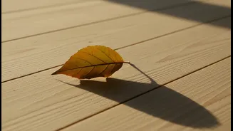 Using One Leave Day Strategically Can Create A Longer Weekend