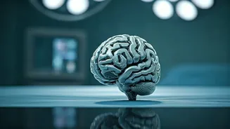 Tiny Tech: Rice-Sized Brain Implants Revolutionize Healthcare