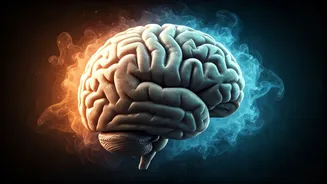 The Vanishing Act: Unpacking Why Our Dreams Fade So Fast