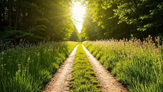 Healing After a Breakup: A Path to Self-Love in India