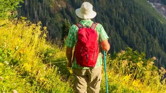 Nordic Walking's Everyday Fitness Shift: A Closer Look At Correct Pole Use