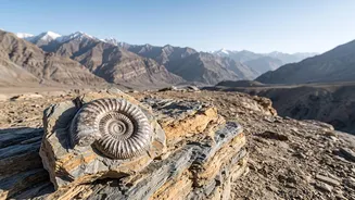 Confirmation Still Needed Is The Detail That Changes How We Read 38-Million-Year-Old Marine Fossils Found In Ladakh