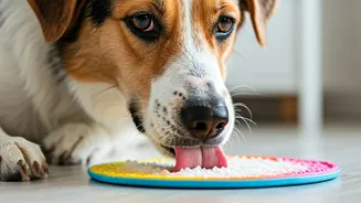 Indian Pet Parents Freeze Curd Inside Licking Mats Now