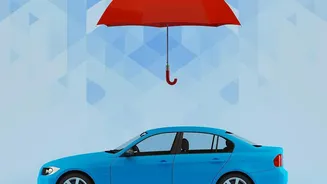 How Travellers Can Check Official Information Before Driving In Heavy Rain