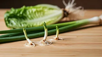 Grow Your Own Greens: Effortless Vegetable Regrowth from Kitchen Scraps