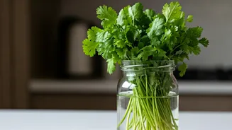 Stop Wasting Fresh Coriander With This Genius Glass Jar Hack