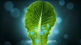Future Mars Missions Could Grow Their Own Medicines