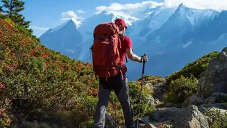 Wildlife Awareness on Canadian Mountain Hiking Trails: Canadian Rockies Trails