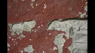 Wall Seepage: Causes and Permanent Fixes Explained