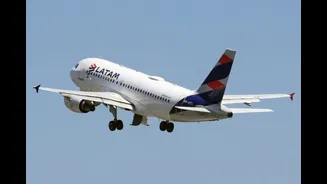 Wi-Fi grátis no avião? Câmara avança com lei que libera navegação grátis nos voos nacionais