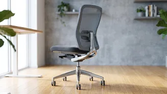 How Adjusting Chair Support Heights Prevents Chronic Lower Back Discomfort For Remote Teams