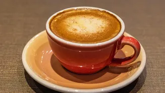 FSSAI's Updated Coffee-Chicory Label Rule Keeps The Focus On Chicory Content