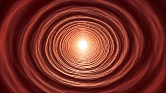 Healthy Arteries: 5 Daily Habits for a Strong Heart