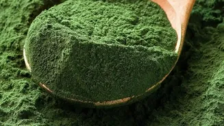 Moringa In Everyday Meals Can Be Included Without Making It A Miracle Food