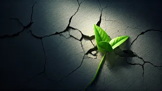 Breaking Free: Escaping the People-Pleasing Trap in Relationships