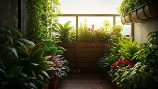 Transform Your Balcony: 6 Stunning Decorative Plants for Every Sunny & Shady Space