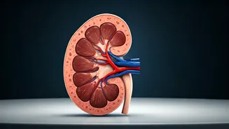 Is Protein Good or Bad for You? Find Out Here.