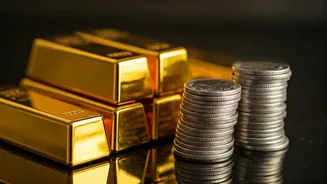 Precious Metals: Navigating the Recent Rally