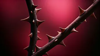 Related Stories banner