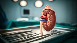 Nephrocare IPO: Should You Invest?