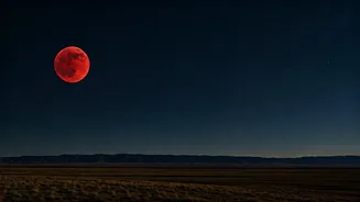 Related Stories banner