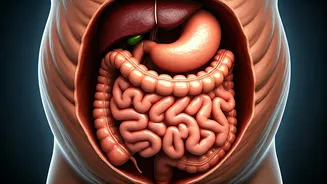 Related Stories banner