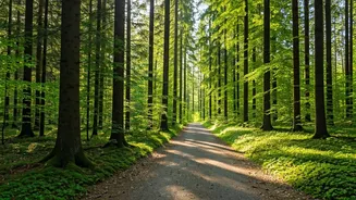 Uplift Yourself with 5 Quiet Steps Today.