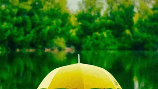 Planning Around IMD's District-Level Monsoon Warnings Starts With Local Weather Decisions For Travel Days
