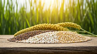 Why Farmers Are Looking At Millets This Season