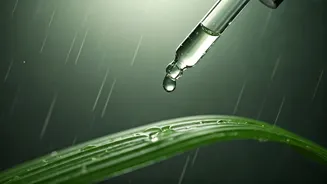 Rainy Season Skincare Routine That Makes A Real Difference