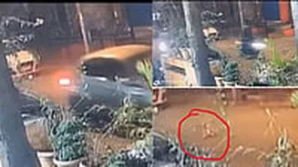 Mumbai Shocker: Cat Run Over By 2 Vehicles In Goregaon; CCTV Footage Triggers Outrage On Social Media | WATCH
