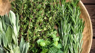 Related Stories banner