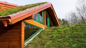 Telhado verde: como funciona a cobertura sustentável que ajuda a refrescar a casa