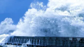What Coastal Erosion Could Mean for Carbon Storage and Climate Research