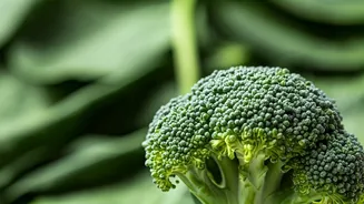 Eat These 7 Foods For Healthy Lungs