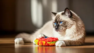 Purr-fect Companions: 10 Kid-Friendly Cat Breeds