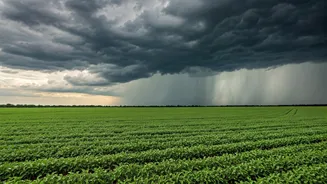 Monsoon And Farming Go Hand In Hand