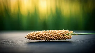 Young Indians Should Not Ignore This Food Hero
