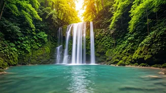 Discover India's Secluded Waterfalls: Untamed Beauty Beyond the Tourist Trail