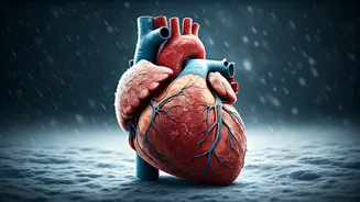 Winter Woes: How Cold Snaps Spike Your Blood Pressure and Heart Risk