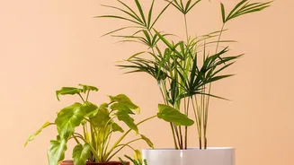 Modern Terracotta Homeware Trends: Sustainable Clay Pottery For Modern Gen Z Homes