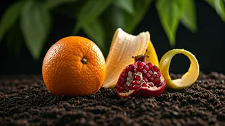 Fruit Peel Power: Transform Your Garden with Natural Fertilizers!