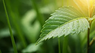 Boosting Your Well-being: Managing Health in Changing Seasons