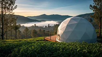 Glamping In Munnar Misty Geodesic Domes Is Peak Aesthetic