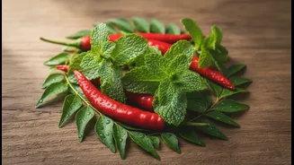 Mint, Chillies And Curry Leaves Can Build A Practical Starter Garden