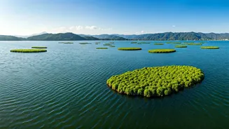 Loktak Lake: Manipur's Mystical Floating Jewel & India's Unique National Park