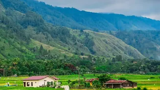 Why Monsoon Conditions Matter For India's Food Supply