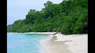 Andaman now in monsoon week 2: Havelock and Neil island stays still booking under ₹6,000